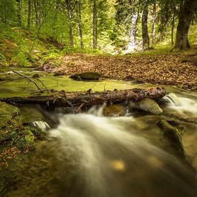 斗牛棋牌手机app下载截图